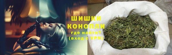 дживик Переславль-Залесский