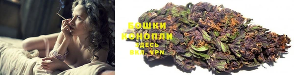 дживик Переславль-Залесский