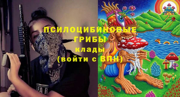 дживик Переславль-Залесский