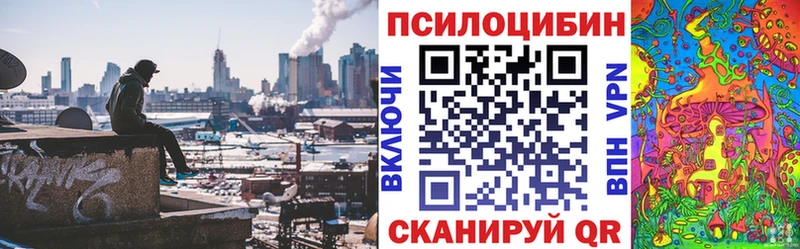 Псилоцибиновые грибы прущие грибы  Таганрог 