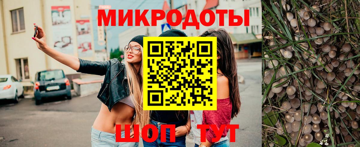 Псилоцибиновые грибы мицелий  Таганрог 