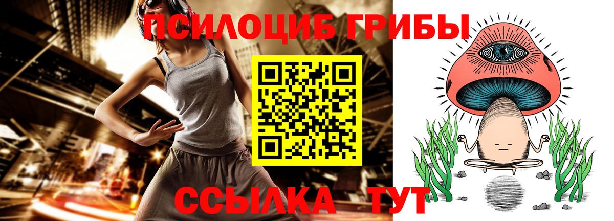 Галлюциногенные грибы прущие грибы Таганрог