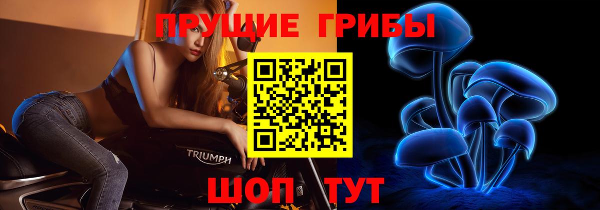 Таганрог  Псилоцибиновые грибы мухоморы  Вход с VPN 